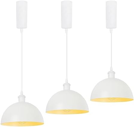 SKIVTGLAMP Remote Control LED Track Pendant Light 3 Lights 5ft Adjustable Height
