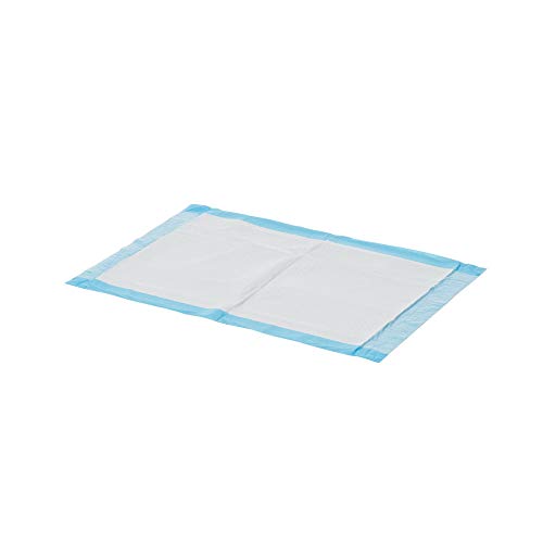 Dynarex Disposable Underpads 17x24 22g Case of 300 1