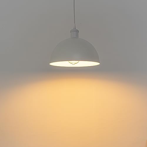 SKIVTGLAMP Remote Control LED Track Pendant Light 3 Lights 5ft Adjustable Height