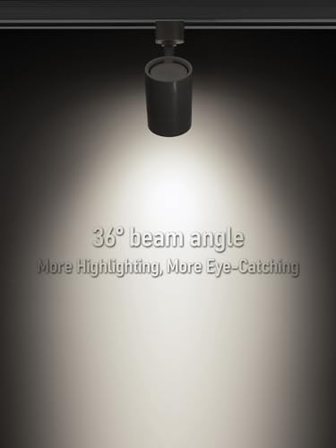LEONLITE 4-Pack 85W LED Track Light Heads