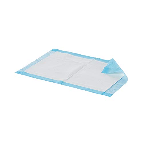 Dynarex Disposable Underpads 23x24 1 Case of 200 1