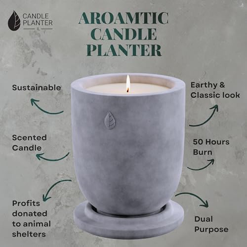 Concrete Candle Planter Jar - 8 Oz Soy Candle with Dual Purpose