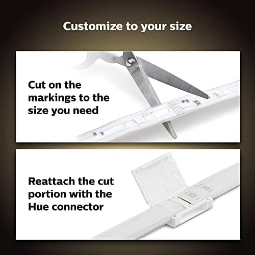 Philips Hue WCA Skit LS Connectors
