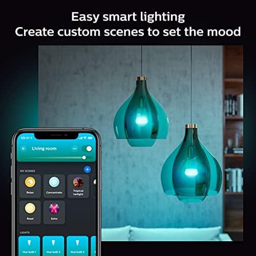 Philips Hue WCA Skit LS Connectors