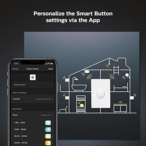 Philips Hue WCA Skit LS Connectors
