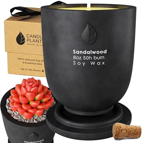 Concrete Candle Planter Jar - 8 Oz Soy Candle with Dual Purpose