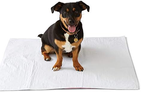 Medline Washable Bed Pads Large 34 x 36 inch 4 Pack 1