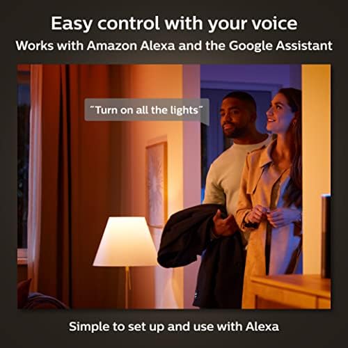 Philips Hue WCA Skit LS Connectors