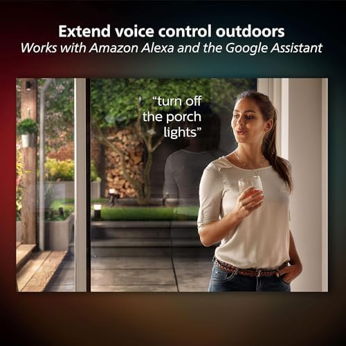 Philips Hue Econic Outdoor Pathway Light - 1 Pack
