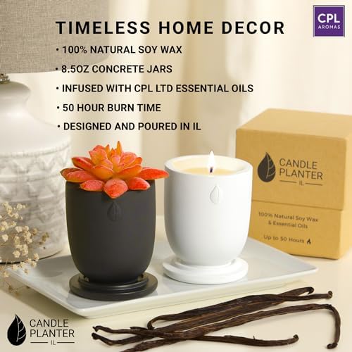 Concrete Candle Planter Jar - 8 Oz Soy Candle with Dual Purpose