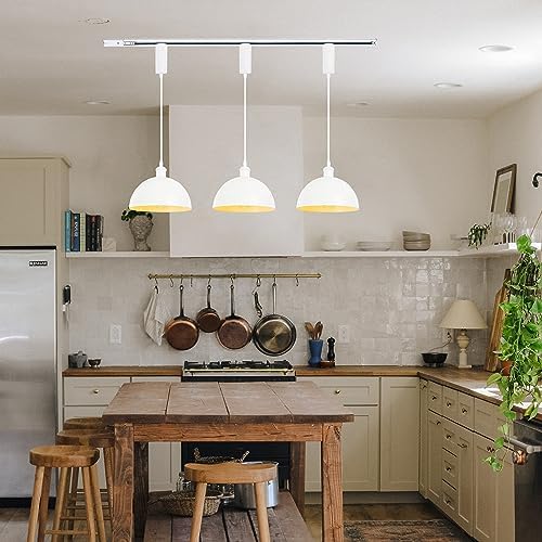 SKIVTGLAMP Remote Control LED Track Pendant Light 3 Lights 5ft Adjustable Height
