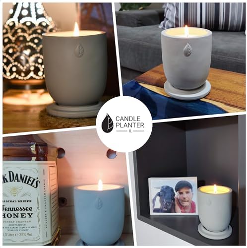 Concrete Candle Planter Jar - 8 Oz Soy Candle with Dual Purpose
