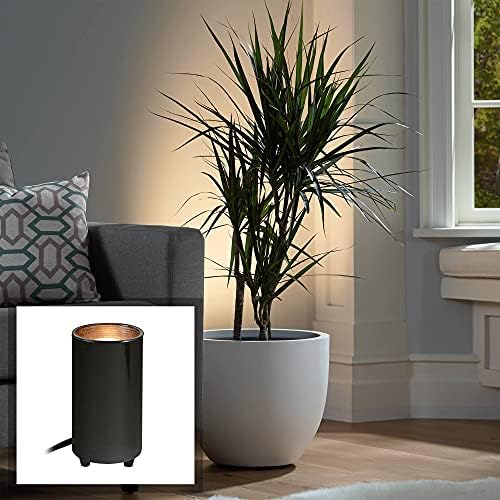 Pro Track Can Mini Uplighting LED Floor Plant Decor