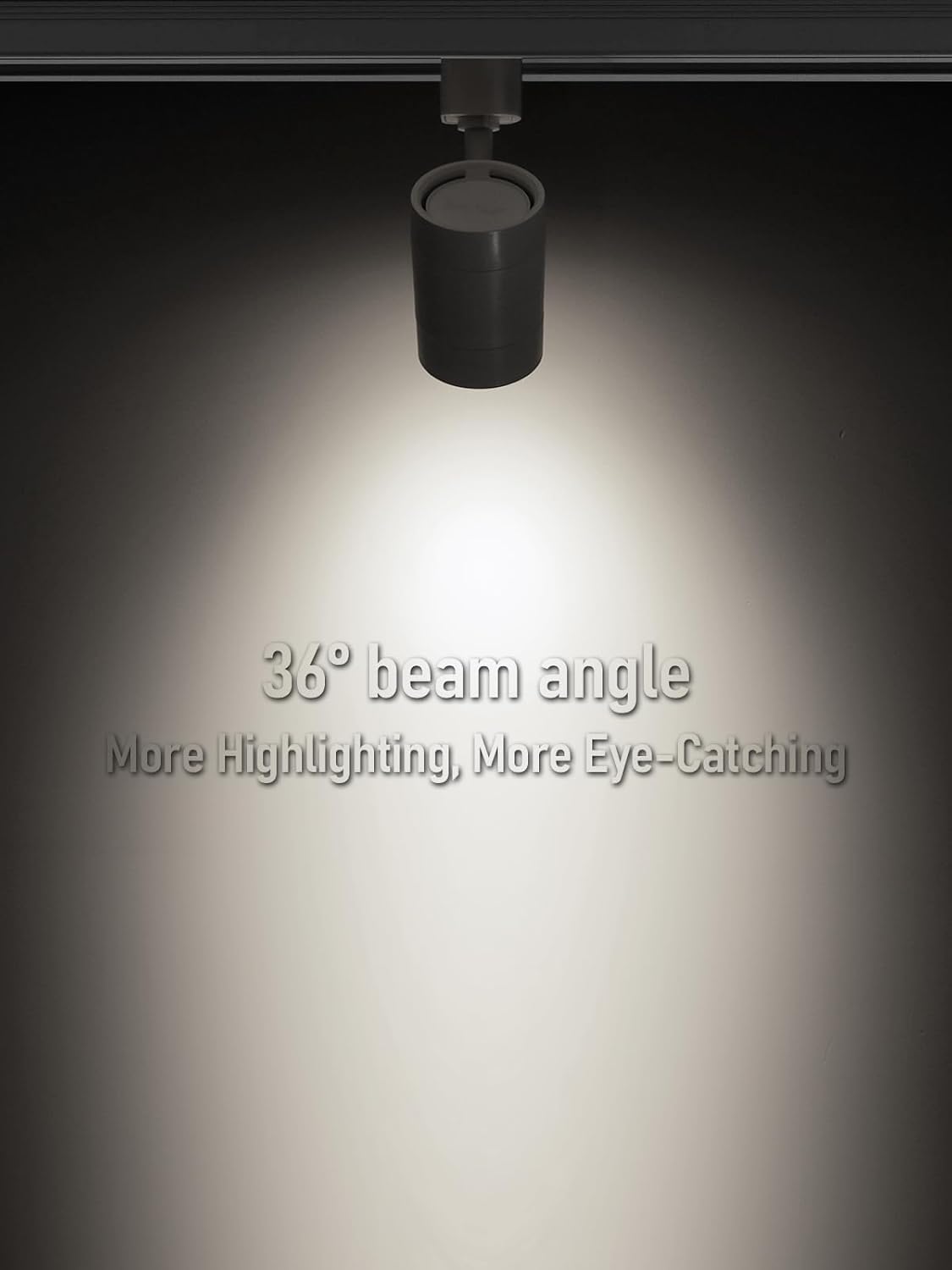 LEONLITE 4-Pack 85W LED Track Light Heads