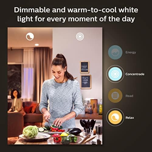Philips Hue WCA Skit LS Connectors