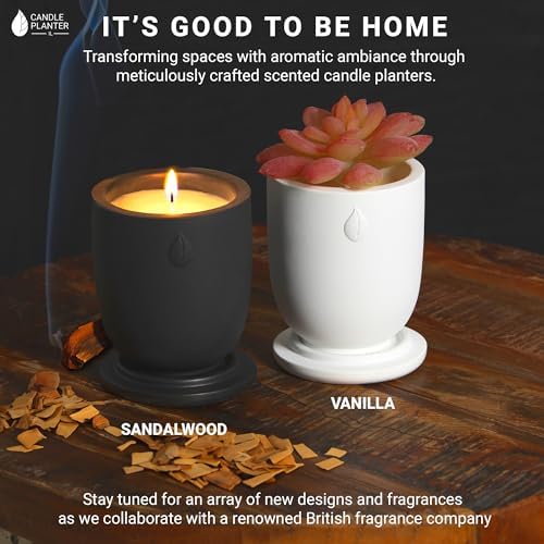 Concrete Candle Planter Jar - 8 Oz Soy Candle with Dual Purpose