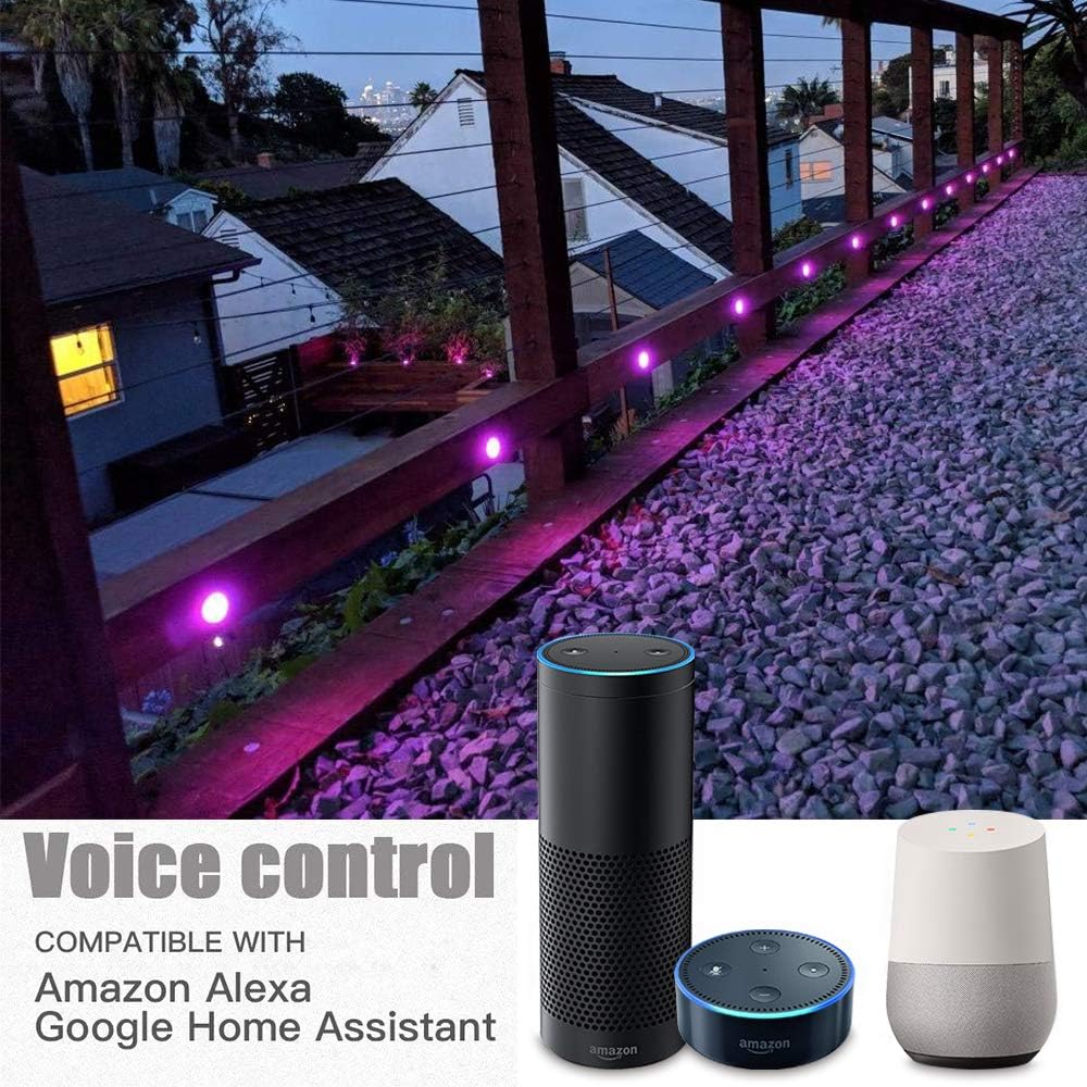 FVTLED WiFi Deck Light Kit RGBW 50pcs Voice Control