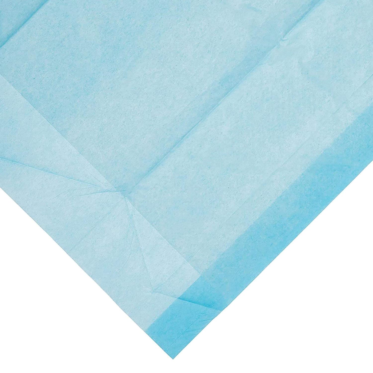 Dynarex Disposable Underpads 23x24 1 Case of 200 1