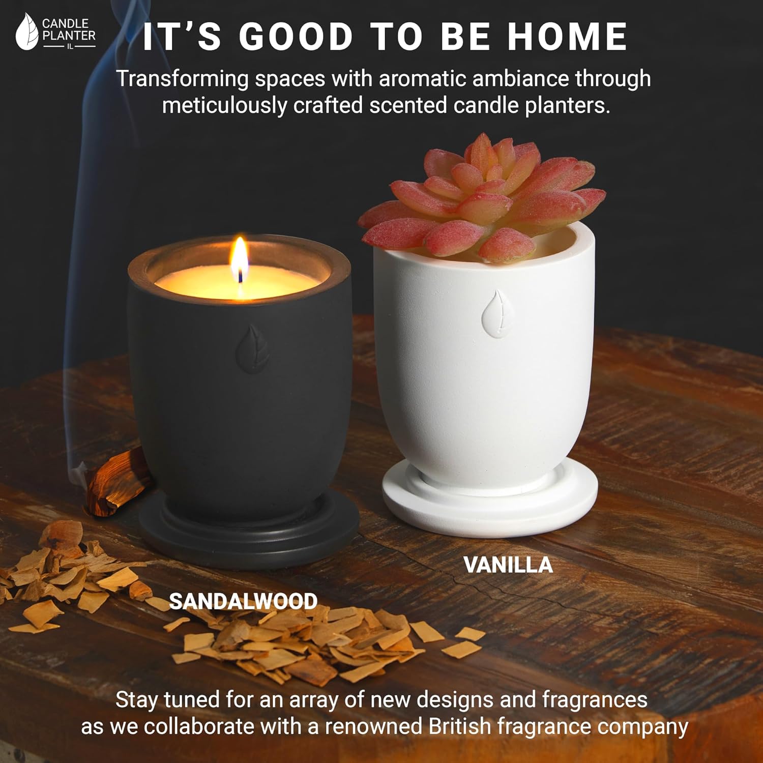 Concrete Candle Planter Jar - 8 Oz Soy Candle with Dual Purpose