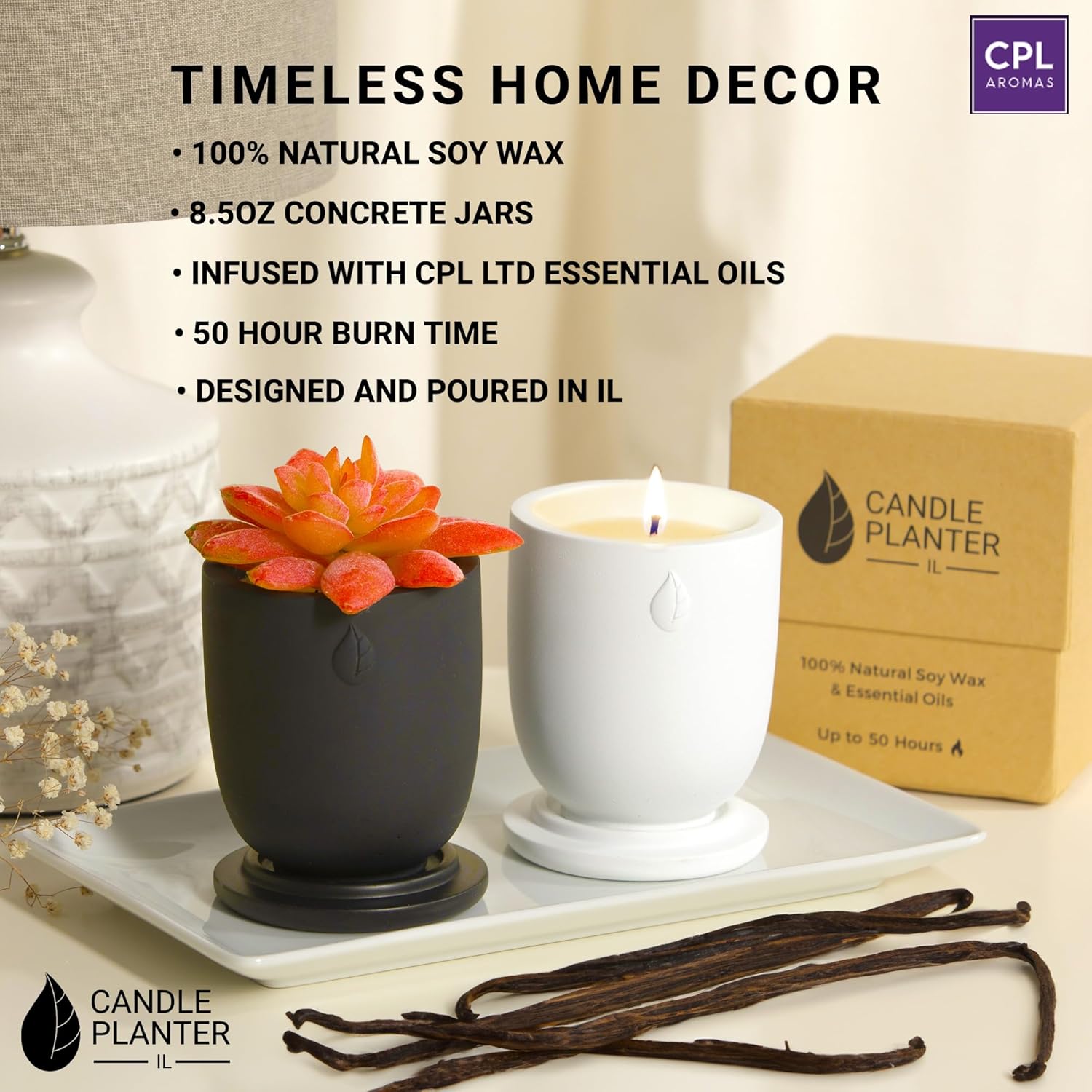 Concrete Candle Planter Jar - 8 Oz Soy Candle with Dual Purpose