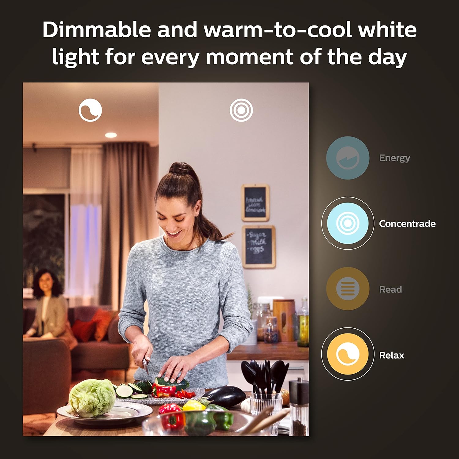 Philips Hue WCA Skit LS Connectors