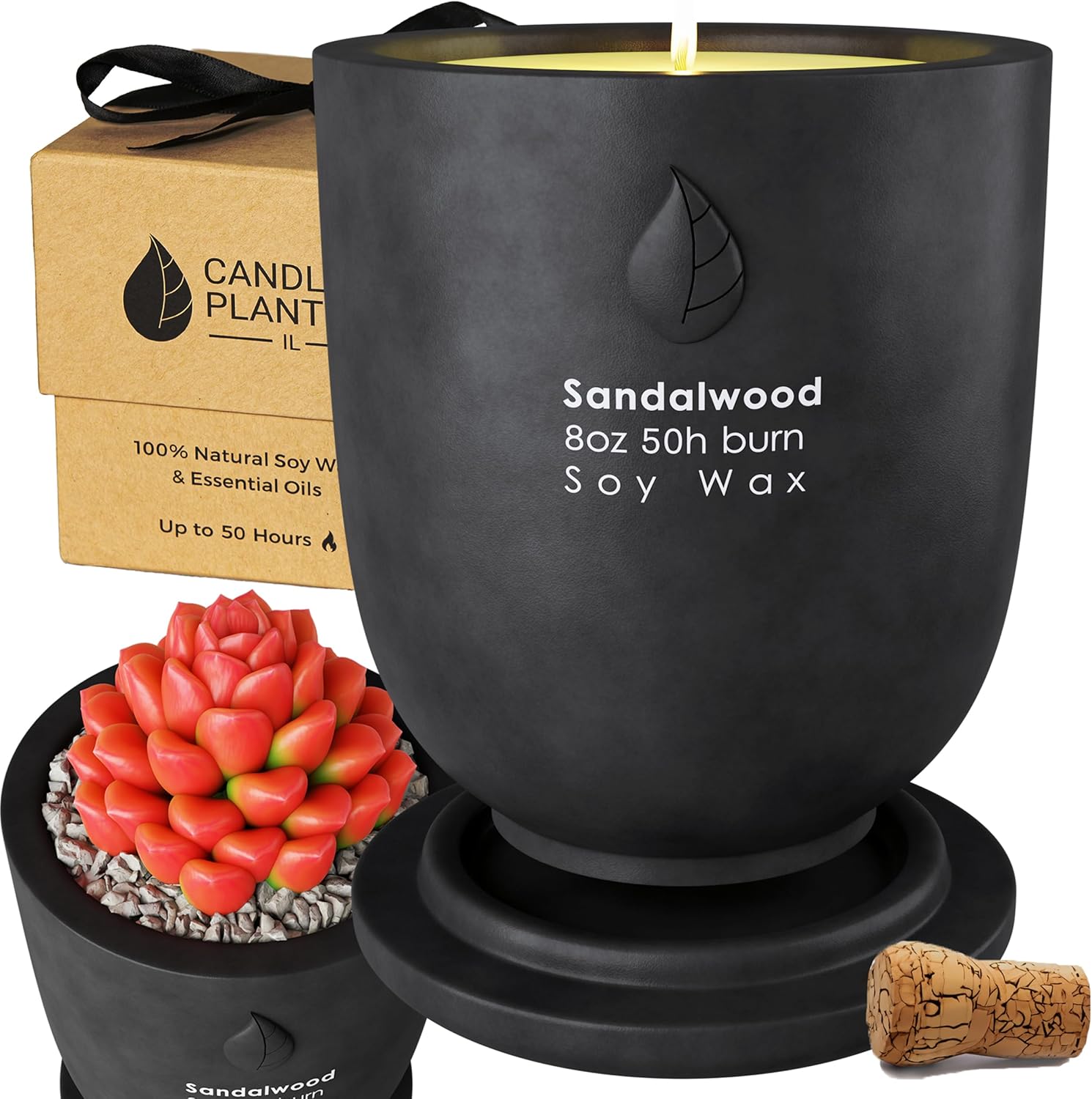 Concrete Candle Planter Jar - 8 Oz Soy Candle with Dual Purpose